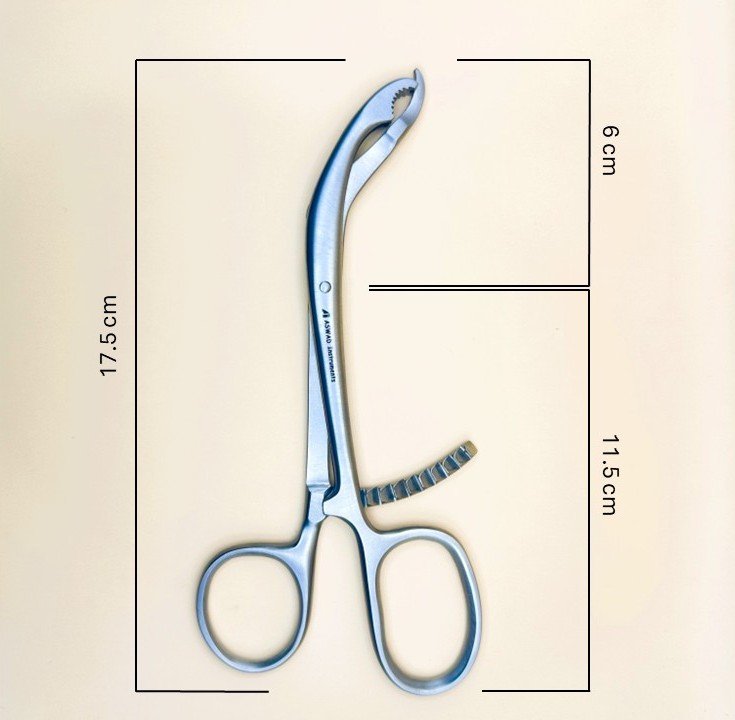 Bone Holding Forceps Verbrugge