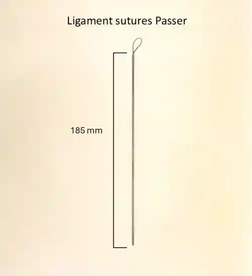 Ligament sutures Passer