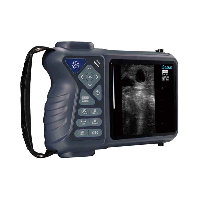 Portable Ultrasound Device