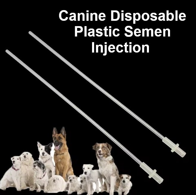 Disposable Semen Injection